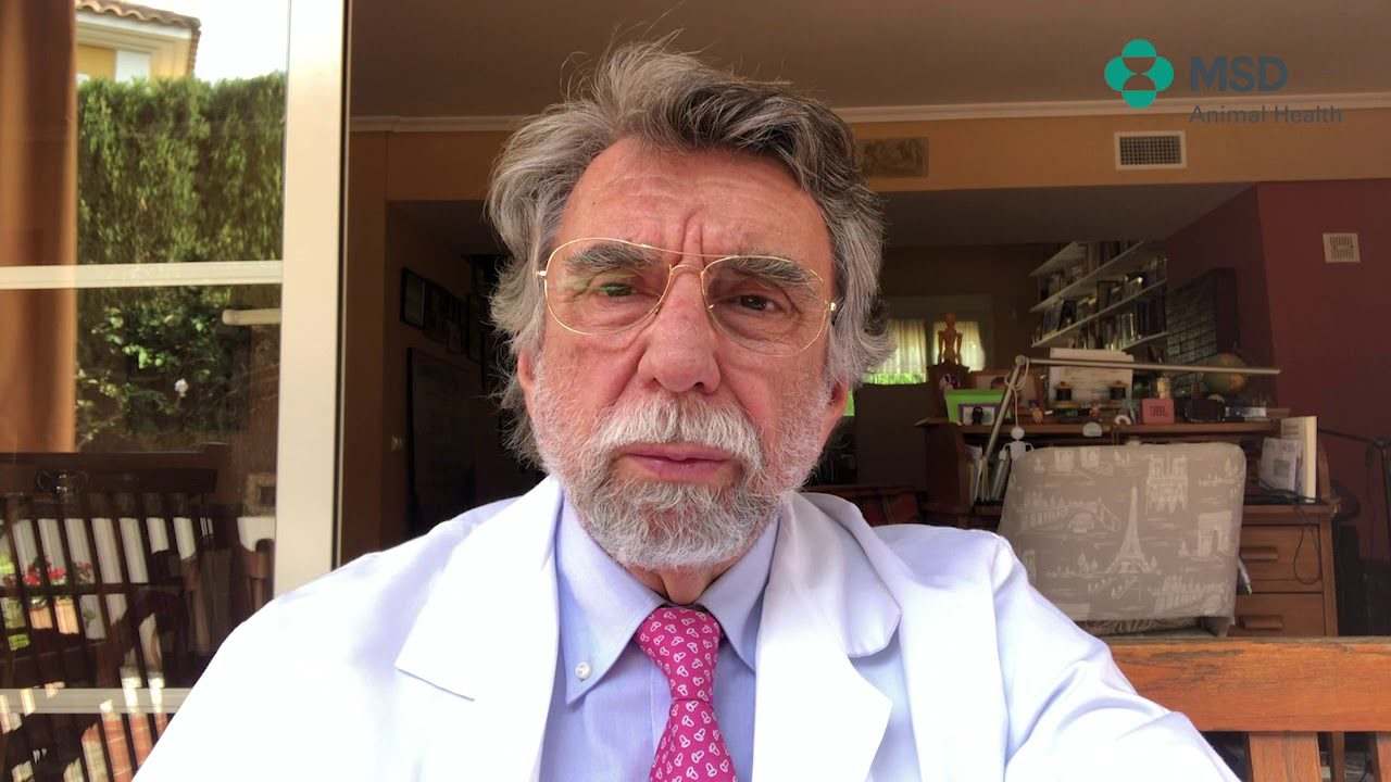 Alimentos-para-el-cerebro-Nutricion-para-una-mente-aguda - ND - Noticiario Digital