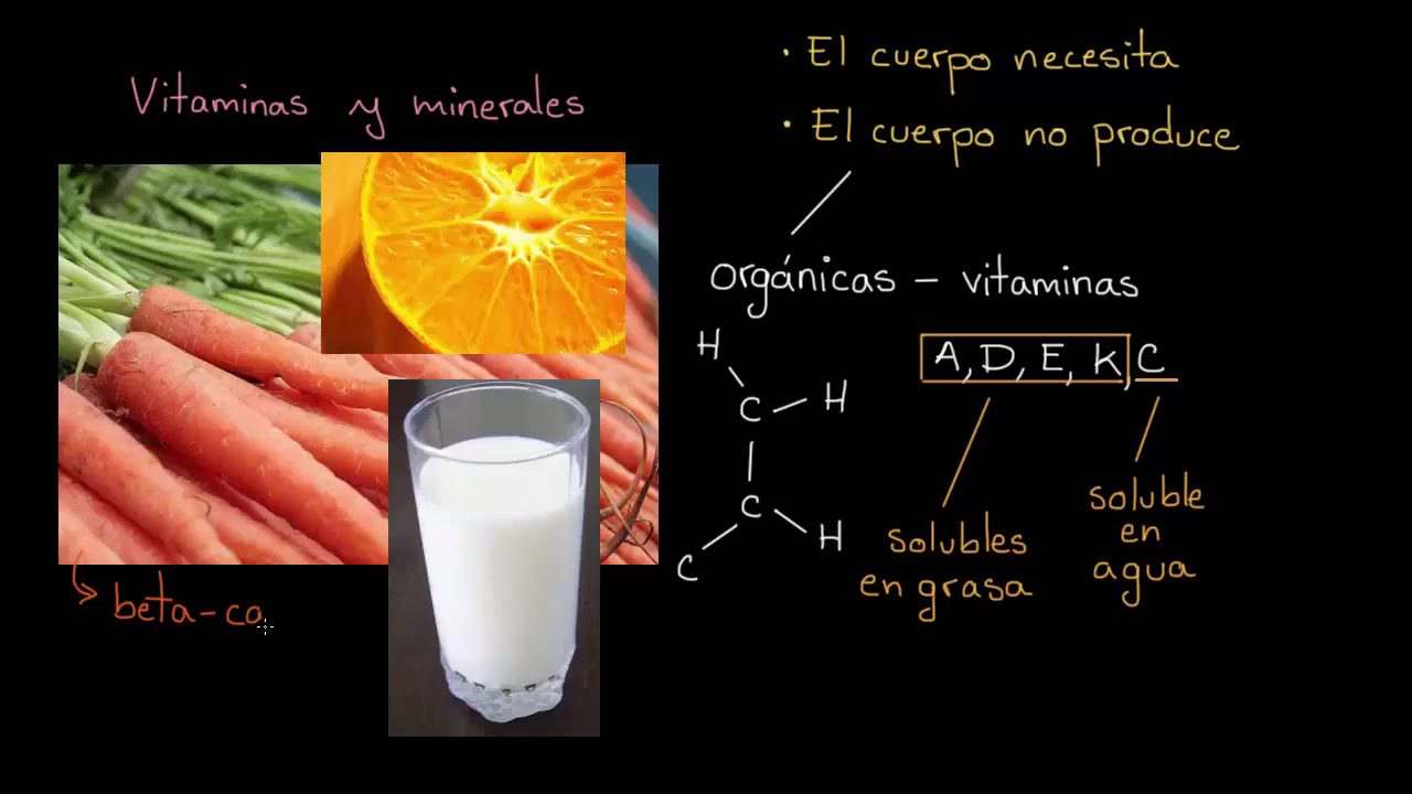 Vitaminas-y-minerales-esenciales-Lo-que-necesitas-saber - ND - Noticiario Digital