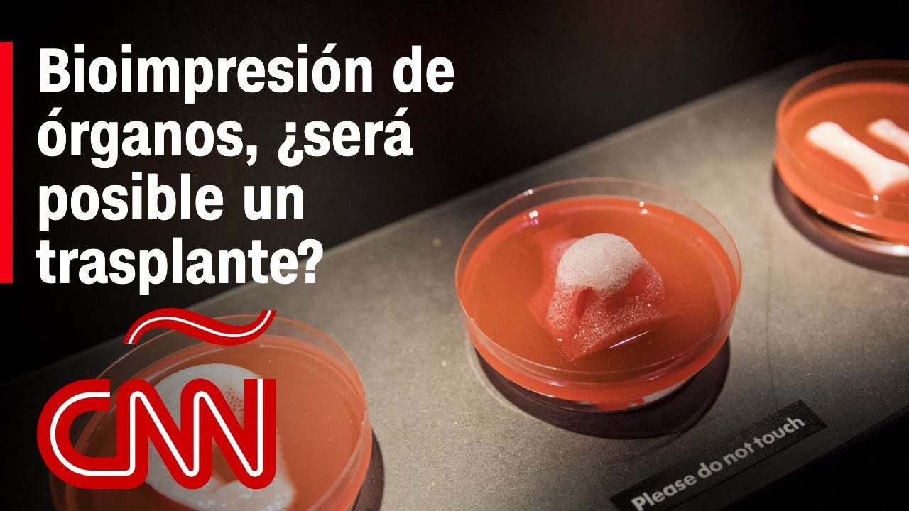 El-futuro-de-la-impresion-de-organos-humanos - ND - Noticiario Digital