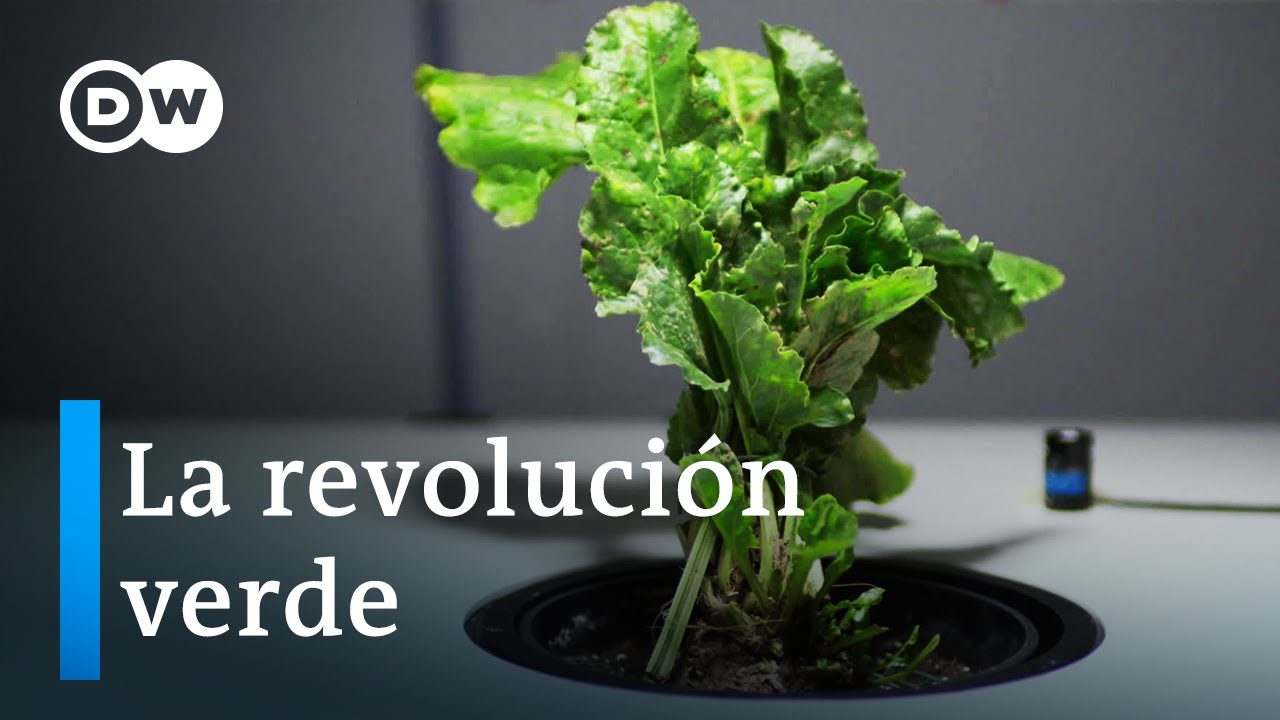 Emprendedores-y-la-revolucion-verde-oportunidades-en-sostenibilidad - ND - Noticiario Digital