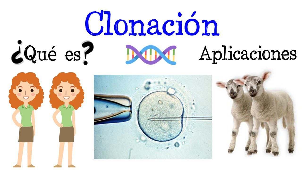 La-etica-de-la-clonacion-en-la-era-de-la-biotecnologia - ND - Noticiario Digital
