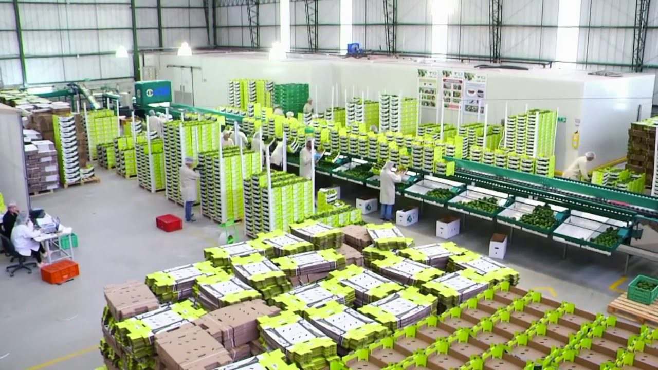 La-influencia-de-la-inteligencia-artificial-en-la-industria-alimentaria - ND - Noticiario Digital