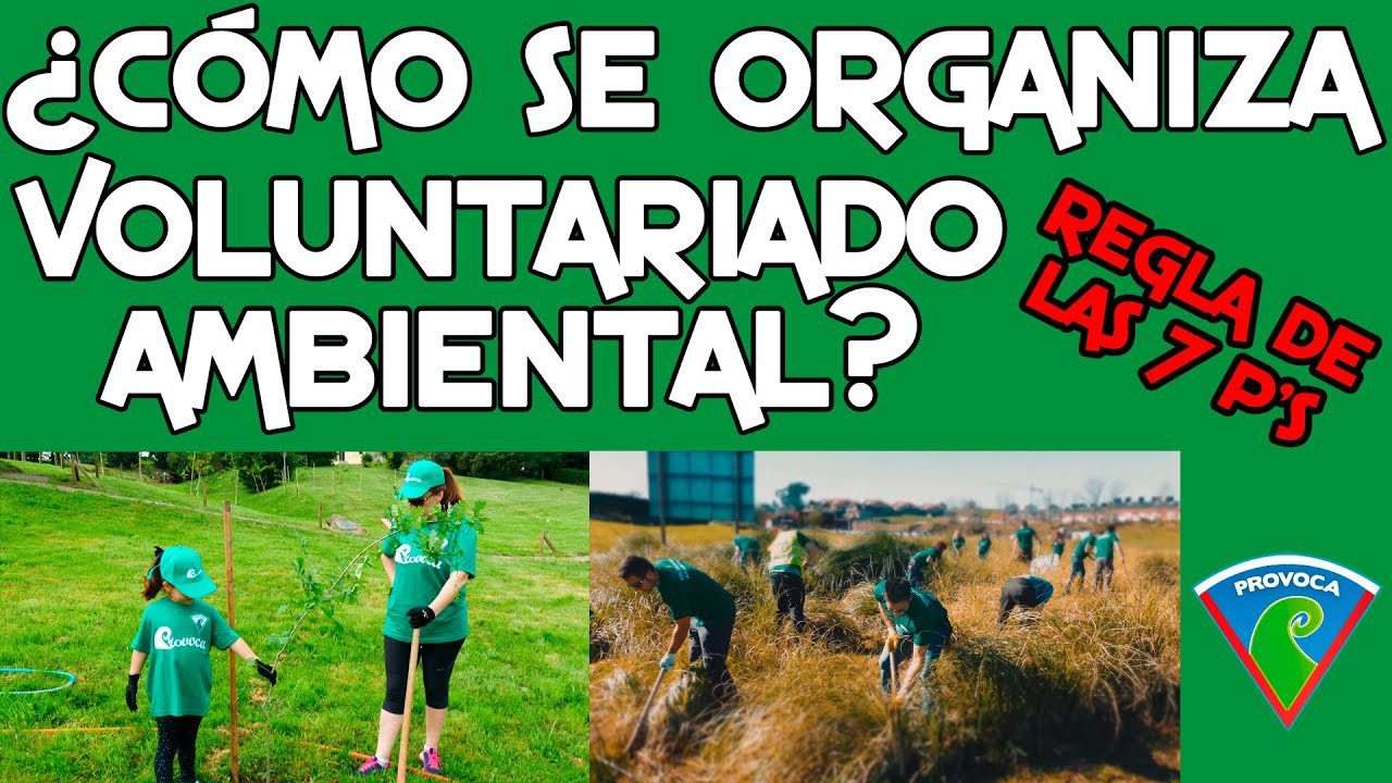 Ocio-con-Proposito-Actividades-Solidarias-y-Voluntariado-1 - ND - Noticiario Digital