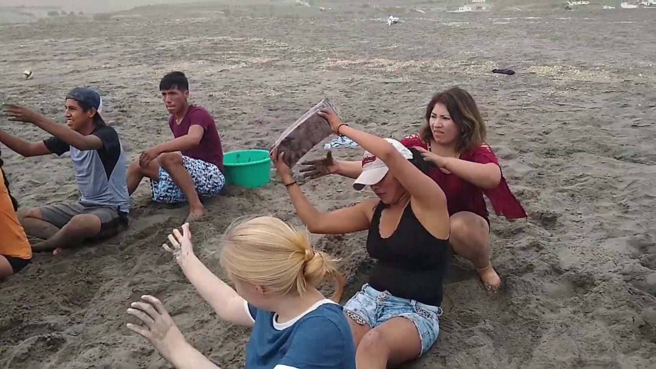 Ocio-en-la-Playa-Actividades-para-Disfrutar-del-Sol-y-la-Arena - ND - Noticiario Digital