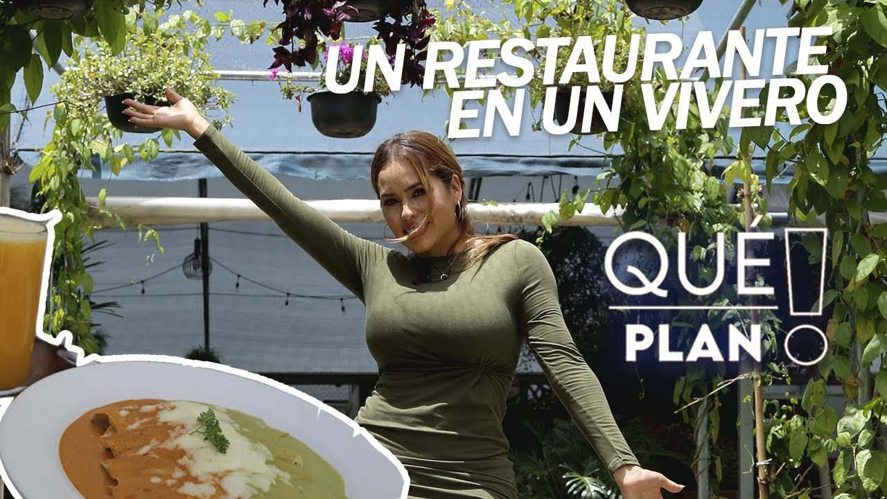 Restaurantes-en-Viveros - ND - Noticiario Digital