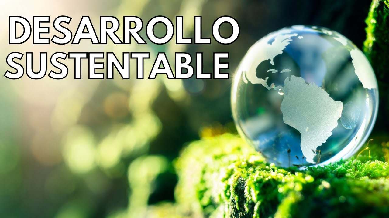 La-importancia-de-la-sustentabilidad-en-el-desarrollo-de-productos-en-la-fase-seed - ND - Noticiario Digital