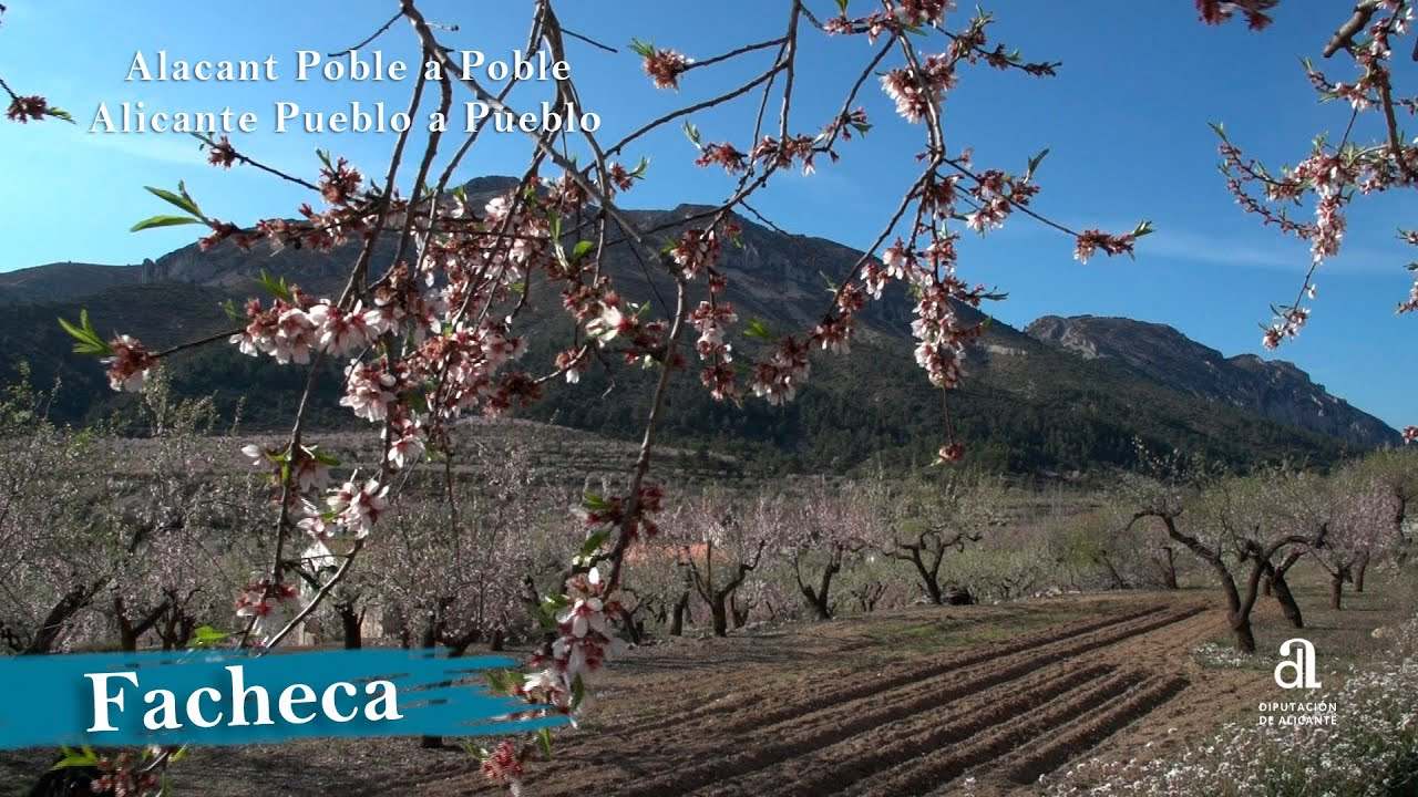 Vivir-en-Facheca - ND - Noticiario Digital
