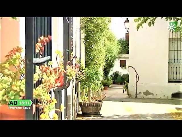 Vivir-en-Alhama-de-Almeria - ND - Noticiario Digital