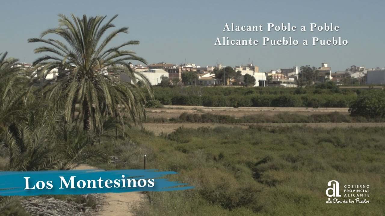planes-de-ocio-en-Montesinos - ND - Noticiario Digital planes de ocio en Montesinos