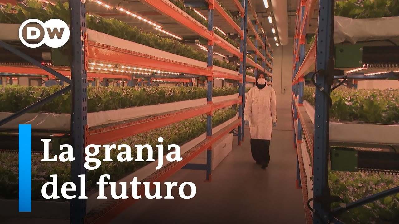 Cuanto-gana-un-Especialista-en-agricultura-vertical-urbana - ND - Noticiario Digital Cuanto gana un Especialista en agricultura vertical urbana