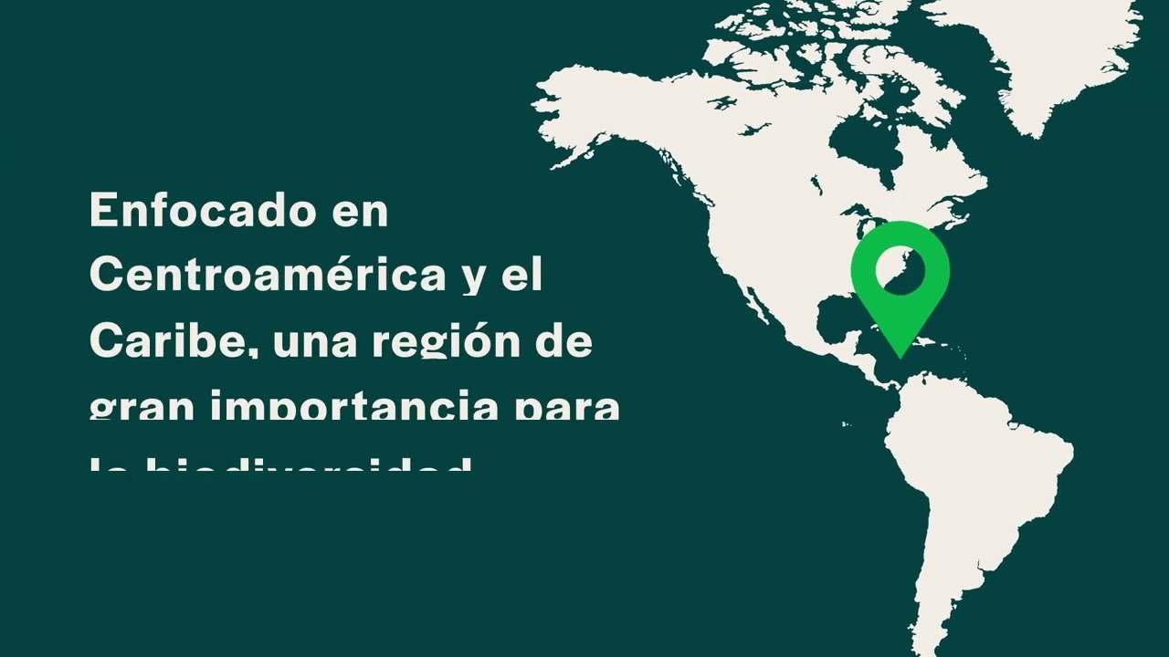 Cuanto-gana-un-Tecnicoa-en-restauracion-de-ecosistemas-marinos - ND - Noticiario Digital Cuanto gana un Técnico/a en restauración de ecosistemas marinos