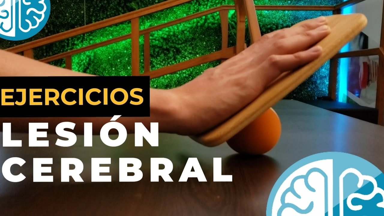 Cuanto-gana-un-Terapeuta-de-rehabilitacion-para-personas-con-implantes-neurales - ND - Noticiario Digital Cuanto gana un Terapeuta de rehabilitación para personas con implantes neurales