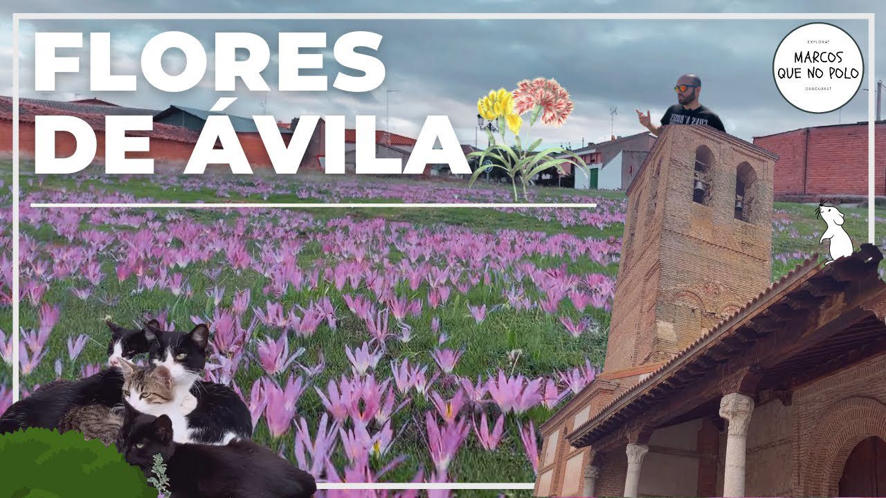 Vivir en 	Flores de Ávila