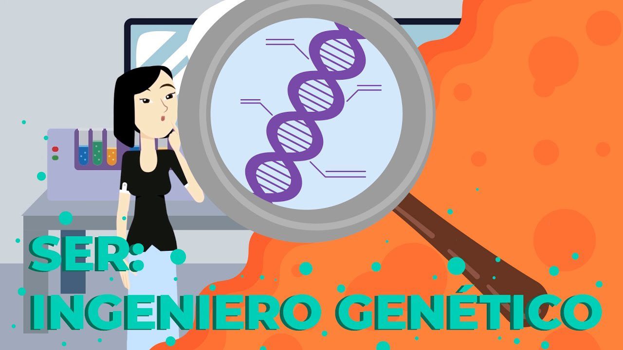 Cuanto gana un 	Investigador/a en bioética para aplicaciones de ingeniería genética