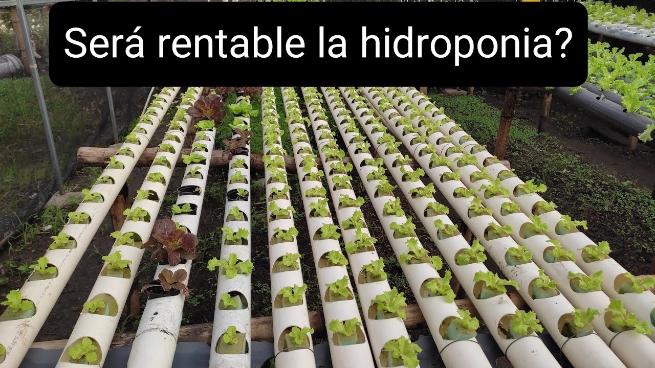 Cuanto gana un 	Técnico/a en mantenimiento de sistemas de cultivo hidropónico en el espacio