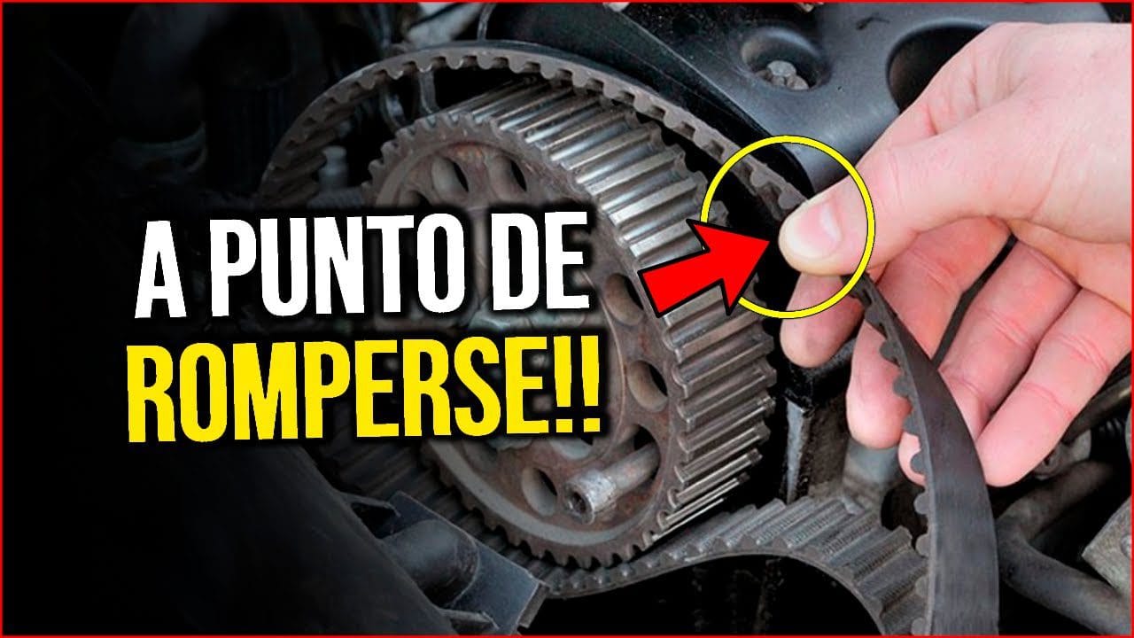 Correa Dentada Doble MITSUBOSHI 200DS8M1600 - Repuesto Para Referencias 35065600/0 Y 135065600/0