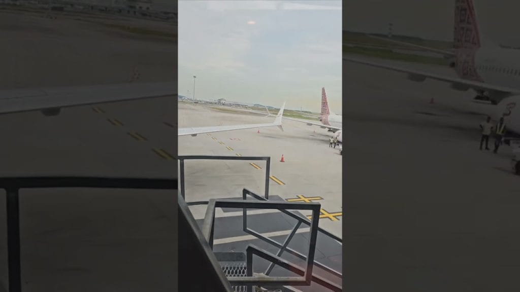 Rumbo a la isla de los dioses: Una guía completa para nuevos residentes