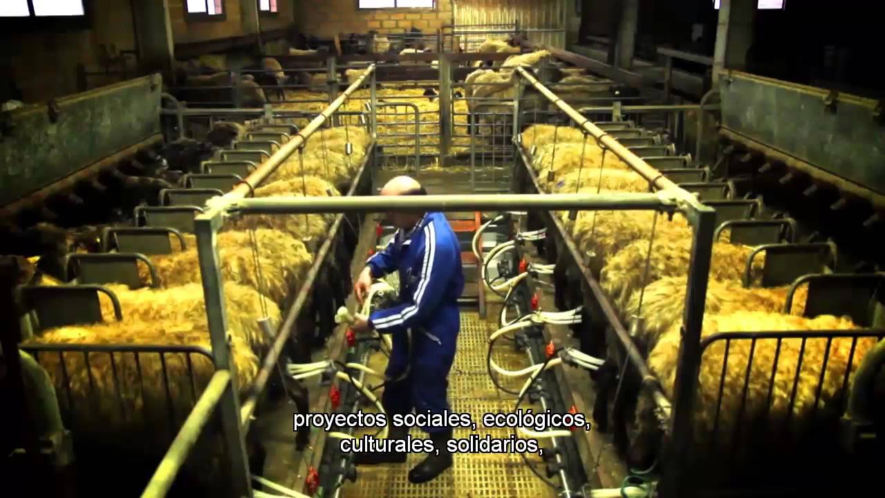 economia-solidaria - ND - Noticiario Digital economía solidaria