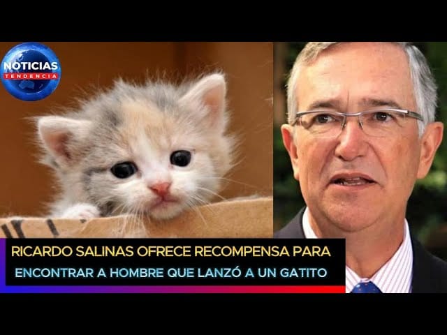 ricardo-salinas-ofrece-recompensa - ND - Noticiario Digital ricardo salinas ofrece recompensa